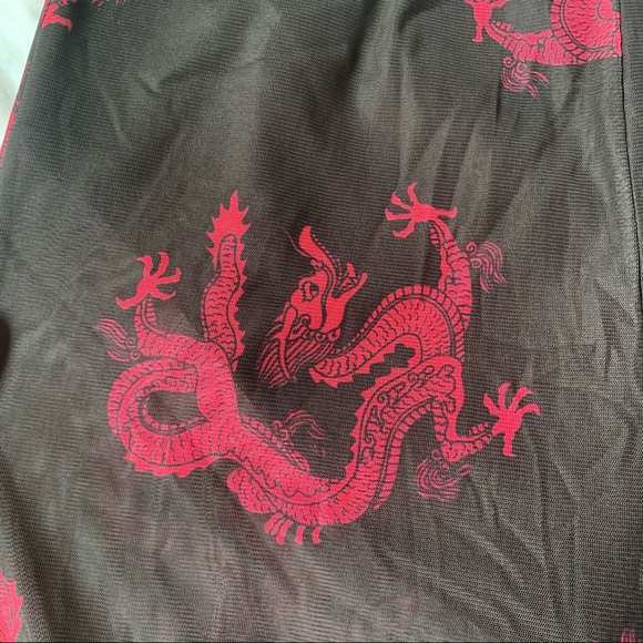 Dragon Printed Mesh Pants w Built in Undershorts - Picture 7 of 8